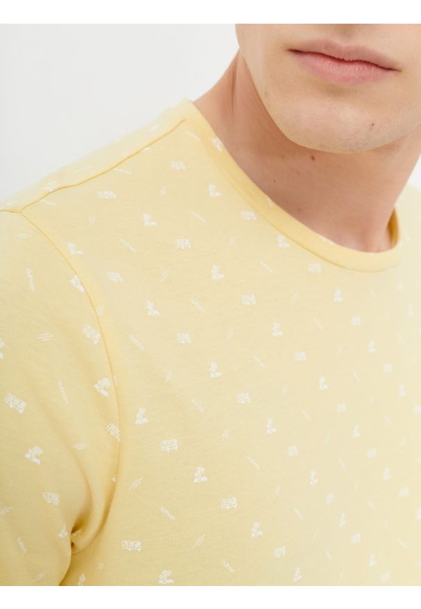 outhorn - T-shirt z nadrukiem męski. Okazja: na co dzień. Materiał: bawełna, dzianina, materiał. Wzór: nadruk. Styl: wakacyjny, casual