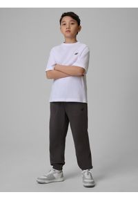 4f - 4F Spodnie dresowe joggery chłopięce - szare 134 (8-9 lat). Okazja: na co dzień, na uczelnię. Kolor: szary. Materiał: dresówka. Sezon: lato. Styl: casual #1