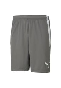 Szorty Puma Team Liga. Kolor: szary, wielokolorowy, biały. Materiał: poliester, syntetyk, materiał. Sport: fitness #1