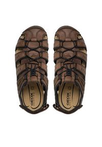 Geox Sandały Uomo Sandal Strada U4524C 000ME C6006 Brązowy. Kolor: brązowy. Materiał: skóra