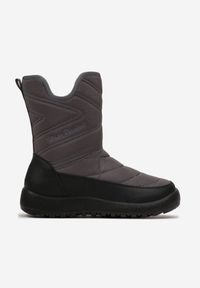 Born2be - Szare Śniegowce za Kostkę Maidalle. Wysokość cholewki: za kostkę. Nosek buta: okrągły. Zapięcie: zamek. Kolor: szary. Materiał: materiał, futro. Sezon: zima. Obcas: na obcasie. Styl: klasyczny. Wysokość obcasa: niski #3