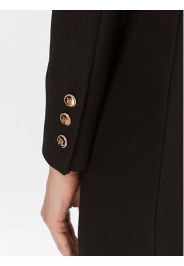 Elisabetta Franchi Marynarka AB-418-36E1-V840 Czarny Regular Fit. Kolor: czarny. Materiał: syntetyk