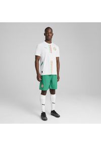 Puma - Męskie szorty Senegal 2025 PUMA Sport Green White. Kolor: wielokolorowy, zielony, biały. Wzór: aplikacja