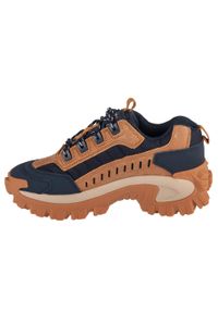 CATerpillar - Buty sportowe Sneakersy męskie, Intruder. Kolor: brązowy. Materiał: materiał, syntetyk, tkanina. Szerokość cholewki: normalna. Sport: turystyka piesza