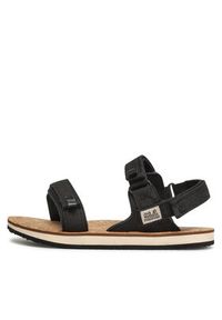 Jack Wolfskin Sandały Ecostride 2 Sandal W 4051771 Czarny. Kolor: czarny. Materiał: materiał #5