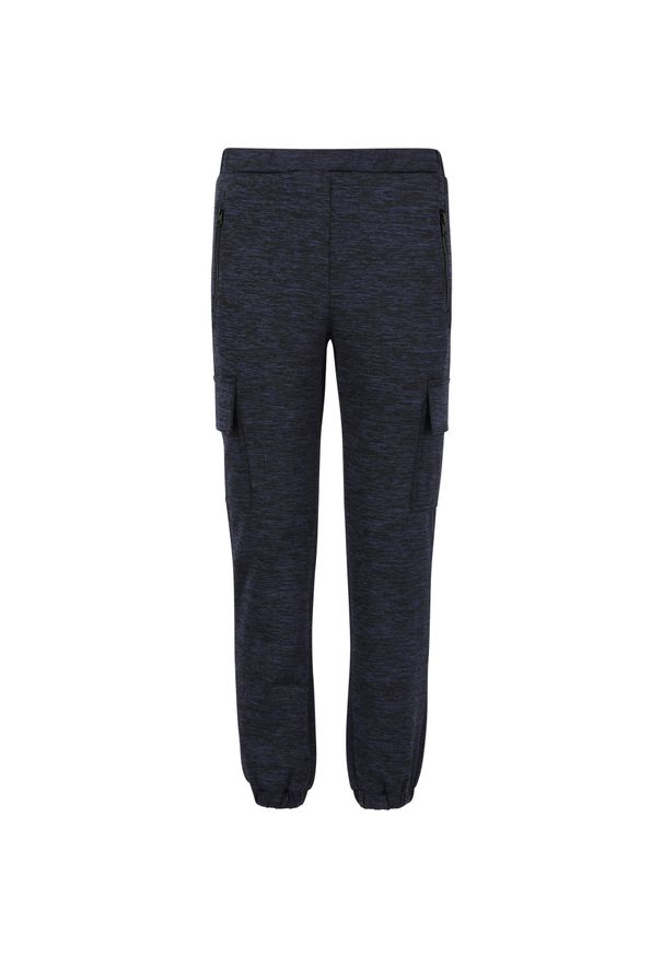 ZigZag - Spodnie dresowe dla dzieci Zigzag Benyamin. Kolor: niebieski. Materiał: dresówka. Sport: bieganie