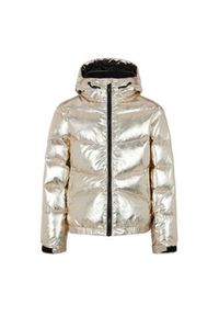 Dziewczęca kurtka narciarska Protest Nelli. Kolor: szary. Sezon: zima. Sport: narciarstwo #1