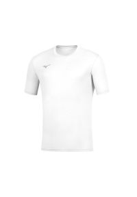 Koszulka Mizuno Team Freetime (x5). Kolor: szary, wielokolorowy, biały. Sport: fitness #1