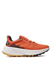Adidas - Buty adidas. Kolor: pomarańczowy. Model: Adidas Terrex. Sport: bieganie
