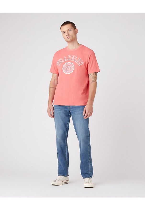 Wrangler - WRANGLER TEXAS MĘSKIE SPODNIE JEANSOWE DUSKY CLOUD W121YJ38R 112145780