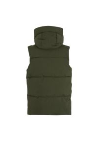 Regatta - Kelse Body Warmer Dla Pań I Panów. Kolor: zielony. Styl: sportowy. Sport: turystyka piesza