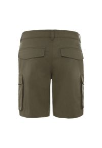 Spodenki turystyczne męskie The North Face M Anticline Cargo Short. Kolor: zielony