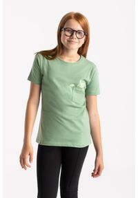 Volcano - Koszulka z bawełny organicznej T-CAT JUNIOR. Kolor: zielony. Materiał: bawełna. Wzór: aplikacja, nadruk. Styl: klasyczny #1