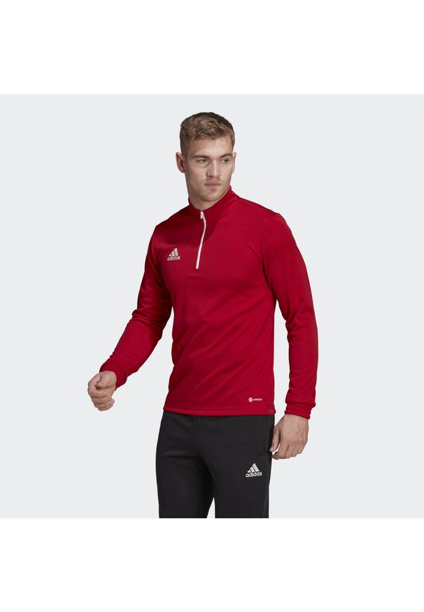 Bluza piłkarska męska Adidas Entrada 22 Training Top. Kolor: biały, czerwony, wielokolorowy. Sport: piłka nożna