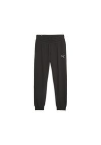 Spodnie Dresowe Sportowe Damskie Puma Better Essentials Cl Tr. Kolor: czarny. Materiał: dresówka. Sport: fitness