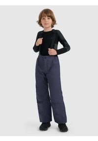 4f - 4F Spodnie narciarskie membrana 5000 chłopięce - szare 128 (7-8 lat). Kolor: szary. Materiał: materiał, poliester. Wzór: gładki. Sezon: lato. Sport: narciarstwo #1