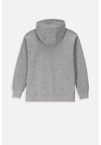 Lemon Explore - Bluza sportowa dziecięcy Lemon Exlopre ZL3 z kapturem. Typ kołnierza: kaptur. Kolor: szary. Materiał: bawełna, wiskoza. Wzór: nadruk