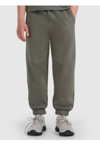 4f - 4F Spodnie dresowe joggery chłopięce - szare 164 (13-14 lat). Okazja: na co dzień. Kolor: szary. Materiał: dresówka. Wzór: gładki, ze splotem. Sezon: lato. Styl: sportowy, casual, młodzieżowy #2