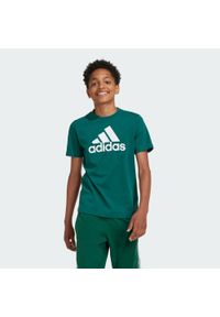 Adidas - Essentials Big Logo Cotton Tee. Kolor: zielony, wielokolorowy, biały