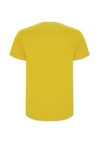 ROLY - Dziecięca Koszulka Z Krótkim Rękawem Stafford. Kolor: żółty. Długość rękawa: krótki rękaw. Długość: krótkie. Sport: turystyka piesza