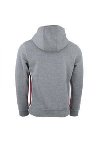 PEAK MOUNTAIN - Bluza z kapturem Peak Mountain Charles. Typ kołnierza: kaptur. Kolor: szary. Materiał: polar. Sezon: zima. Sport: narciarstwo #2