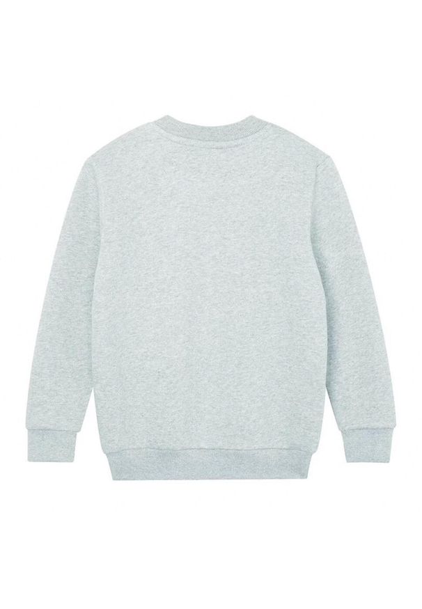 MANTIS - Bluza Dziecięca Essential Plain. Kolor: szary