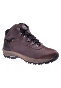Hi-tec - Męskie Wodoodporne Buty Turystyczne Altitude VI Leather. Kolor: brązowy