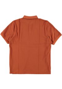 Męski T-Shirt Mustang Style Pablo PC Polo Burnt Ochre 1016297 7105. Typ kołnierza: polo #2