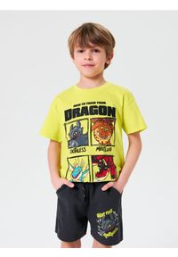 Sinsay - Szorty How to train your dragon - szary. Kolor: szary