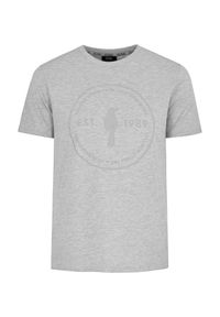 Ochnik - Szary T-shirt męski z logo marki OCHNIK. Kolor: szary. Materiał: bawełna #2