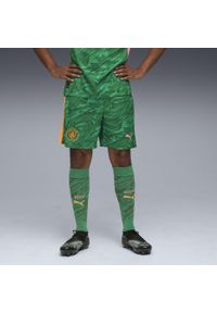 Puma - Męskie szorty bramkarskie Manchester City 25/26 PUMA. Kolor: zielony, pomarańczowy, wielokolorowy, żółty. Materiał: tkanina. Sport: fitness