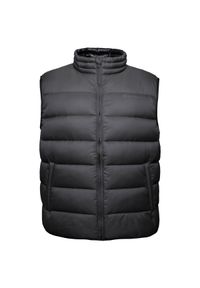 Champion - Bezrękawnik fitness męski Down Vest. Kolor: szary. Materiał: poliamid. Długość rękawa: bez rękawów. Sport: fitness