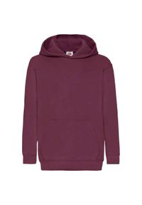 FRUIT OF THE LOOM - Bluza Z Kapturem Dla Dzieci. Typ kołnierza: kaptur. Kolor: czerwony, wielokolorowy, brązowy