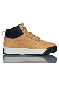 Buty Sportowe Męskie Puma Tarrenz Sb Puretex. Kolor: brązowy