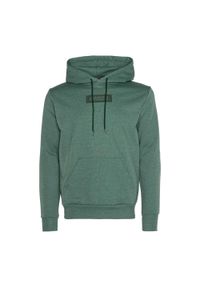 Prosto - Bluza męska PROSTO Hoodie Abox. Kolor: zielony