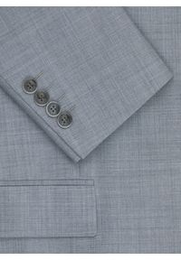 Pako Lorente - PAKO LORENTE - Gładka szara marynarka garniturowa. Okazja: na spotkanie biznesowe. Kolor: szary. Materiał: poliester, wełna. Wzór: gładki. Sezon: jesień. Styl: biznesowy #4