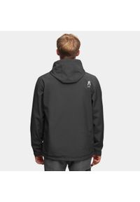 Kurtka softshellowa turystyczna męska Alpinus Stenshuvud. Kolor: czarny. Materiał: softshell. Sport: turystyka piesza