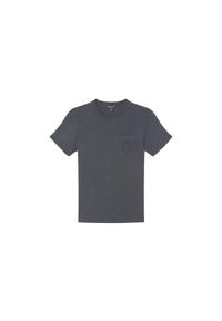 LE TEMPS DES CERISES - Koszulka Le Temps des cerises Paia. Kolor: szary #1