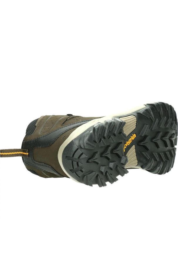 columbia - Buty Sportowe Męskie Columbia Newton Ridge Plus Ii Trekingowe. Kolor: brązowy. Sezon: zima