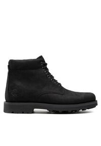 Timberland Trzewiki Alden Brook TB0A44ZN0151 Czarny. Kolor: czarny. Materiał: skóra #6