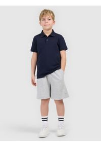 4f - 4F Spodenki dresowe chłopięce - szare 164 (13-14 lat). Okazja: na co dzień. Kolor: szary. Materiał: dresówka. Długość: krótkie. Wzór: gładki, ze splotem. Sezon: lato. Styl: casual, sportowy #1