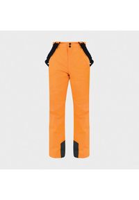 Spodnie narciarskie dziecięce Rossignol Boy Velika Suspenders. Kolor: pomarańczowy. Sezon: zima. Sport: narciarstwo #1