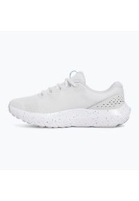 Buty do biegania damskie Under Armour Charged Surge 4. Kolor: szary
