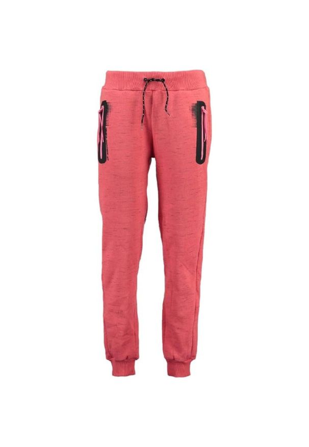 CANADIAN PEAK - Spodnie turystyczne damskie Canadian Peak. Kolor: różowy. Materiał: poliester, bawełna. Sezon: lato. Sport: turystyka piesza