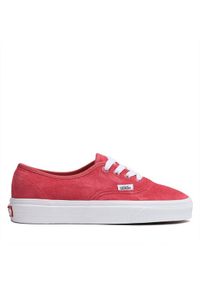 Vans Tenisówki Authentic VN0009PVZLD1 Różowy. Kolor: różowy