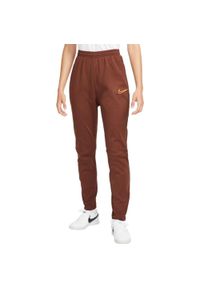 Spodnie Sportowe damskie Nike TF Academy Pant. Kolor: brązowy #1