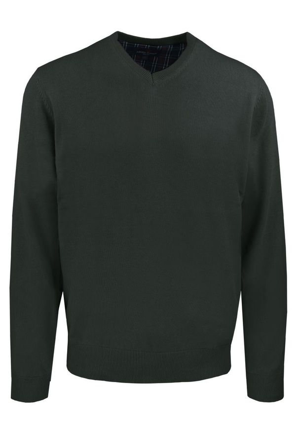 Męski, Bawełniany Sweter w Serek (V-neck) - Adriano Guinari - Ciemna Zieleń. Okazja: do pracy, na co dzień, na spotkanie biznesowe. Typ kołnierza: dekolt w serek. Materiał: bawełna. Styl: klasyczny, casual, elegancki, biznesowy