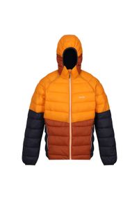 Harrock II Regatta męska turystyczna kurtka puchowa zimowa. Typ kołnierza: kaptur. Kolor: pomarańczowy. Materiał: puch. Sezon: zima