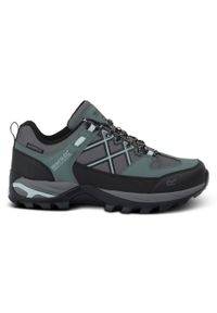 Buty damskie trekkingowe Regatta Samaris III Low. Kolor: szary. Styl: sportowy