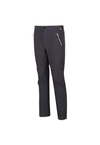 Regatta - Spodnie turystyczne męskie Mountain Zip Off z odpinanymi nogawkami. Kolor: szary. Materiał: tkanina. Sezon: lato. Sport: turystyka piesza #1